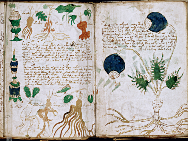 Página del manuscrito
